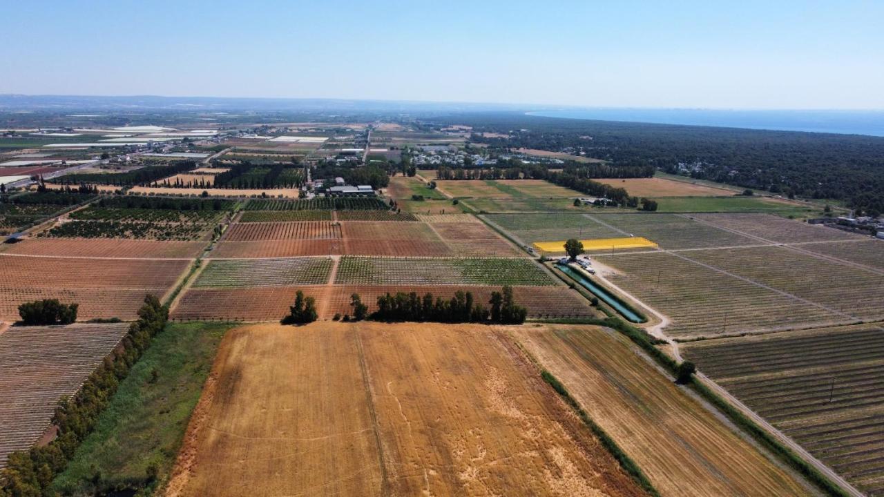 Willa Maison Catalano Castellaneta Marina Zewnętrze zdjęcie